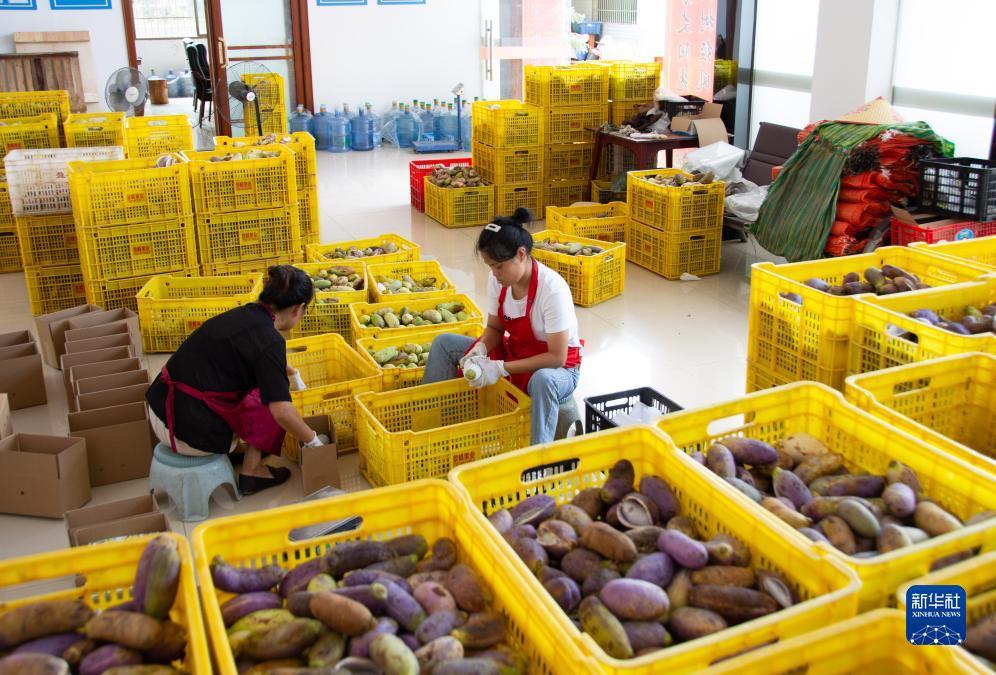 加微信领彩金